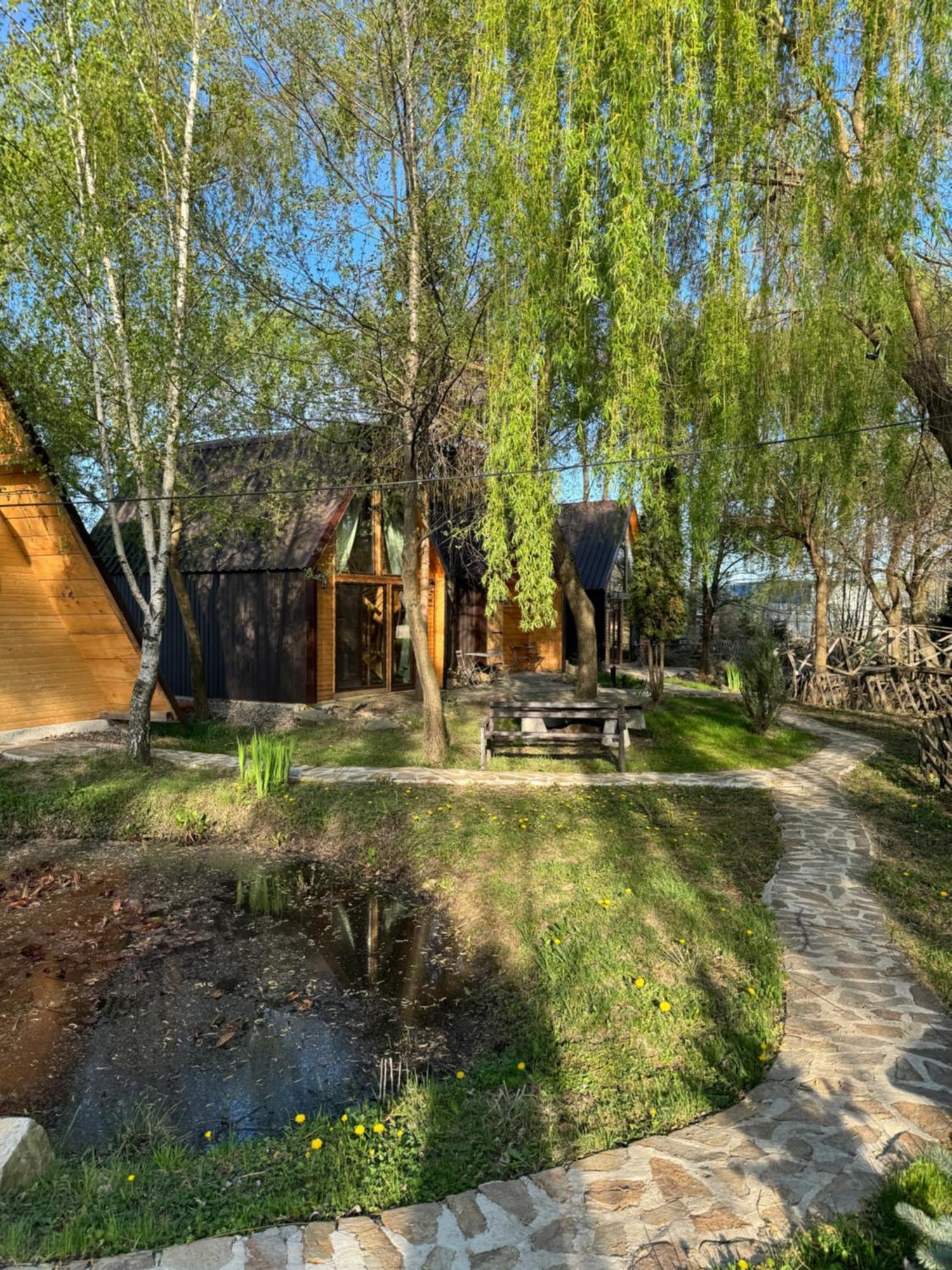 Conacul Lui Patrick Otel Poenari Dış mekan fotoğraf